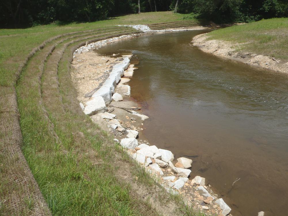 Ararat River Restoration, Greenway, and Parks - Ecosystem Planning ...