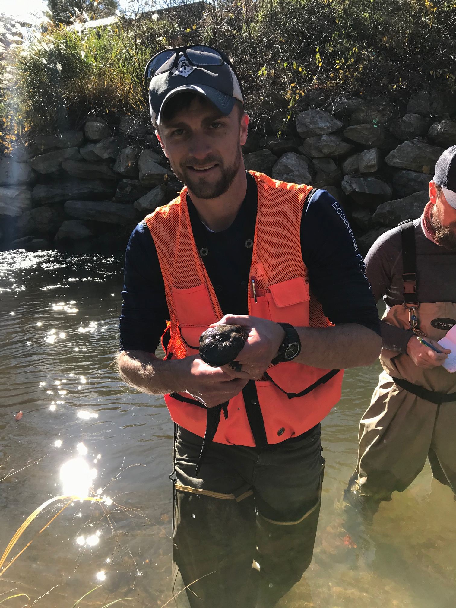 Grassy Creek Stream Restoration Project, Mitchell County, NC ...