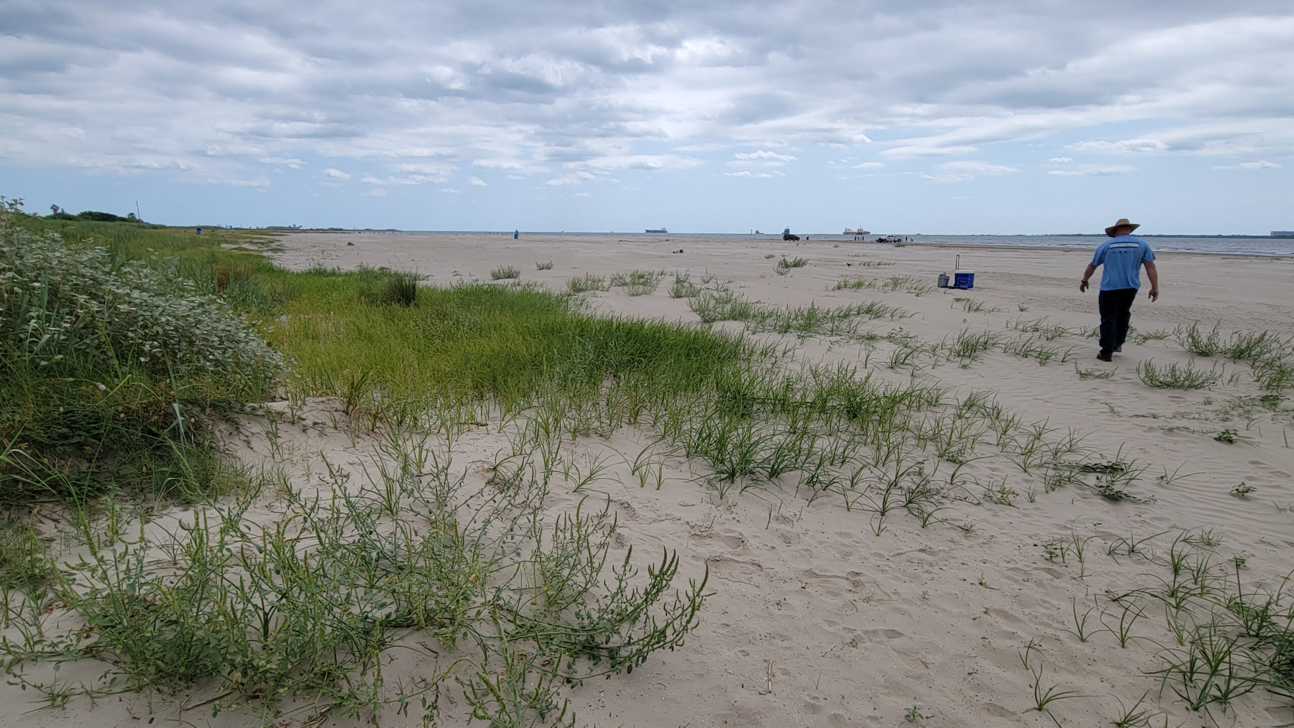 Giving Back To The Community Ecosystem Planning And Restoration 0950